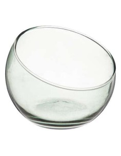 verrine palm vert d10