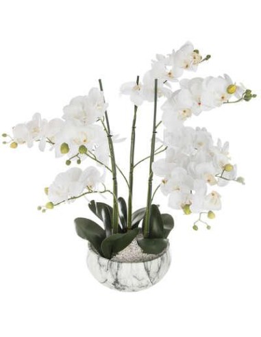 155640 - orchid pot mbr sanae h65