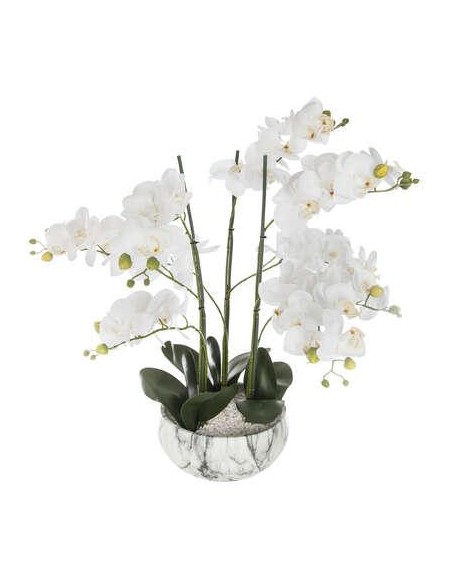 155640 - orchid pot mbr sanae h65