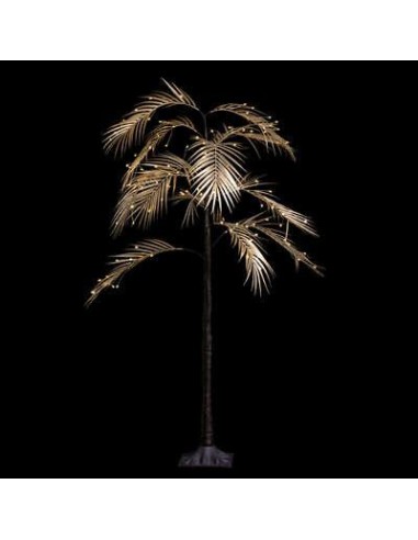 878574 - arb int palm or 120l bc h120 t