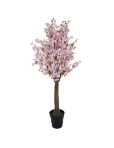 168617a - cerisier inari rose h200