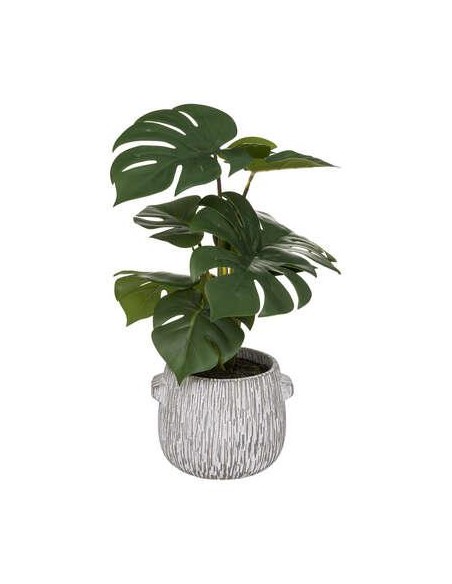 185458 - monstera pot cim strie poa h35