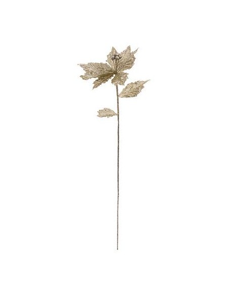 183900 - bch poinsettia dore paill 75cm
