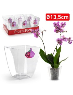 12216-pot carre orchid