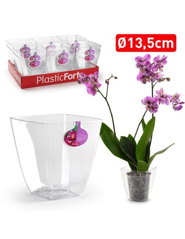 12216-pot carre orchid