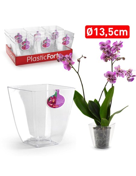 12216-pot carre orchid