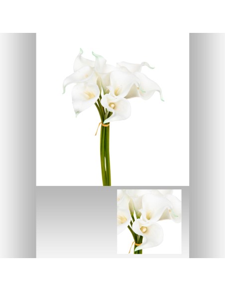 116023 - bouquet 8 arum ziede blc h36