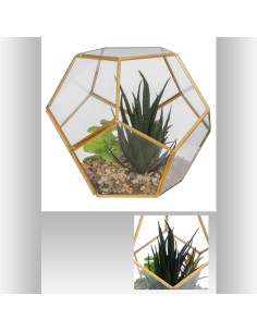 173033 - terrarium plante vr met d17 L. 16 x P. 16 x H. 14 cm