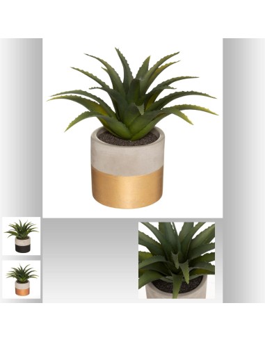 173014 - aloe vera pot cim koko ass h28