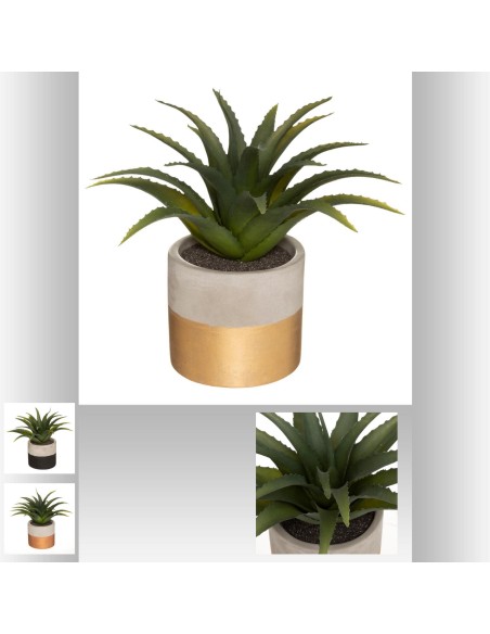 173014 - aloe vera pot cim koko ass h28