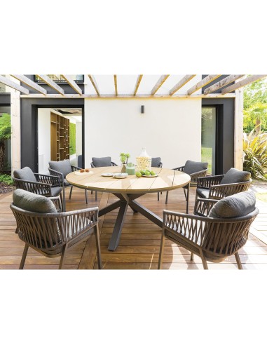 171144 - faut repas oriengo anth/graphite