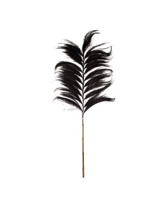 j21 - tige de foin tropical - noir -170cm