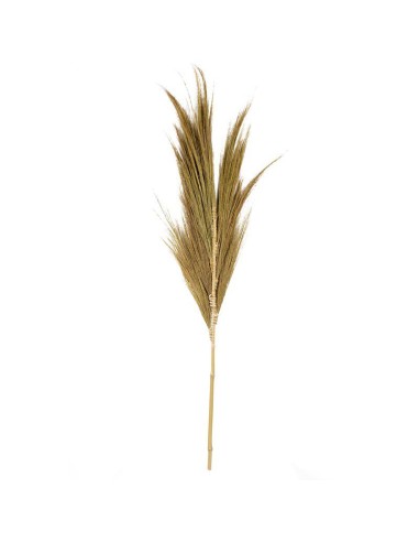 j24 - mini panache de foin - naturel - 115cm