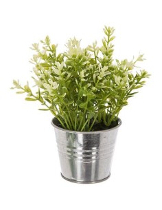 114754 - herbe pot zinc zumi h17