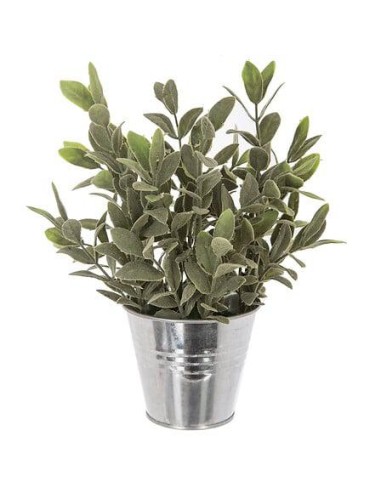 114755 - herbe pot zinc zumi ass h25