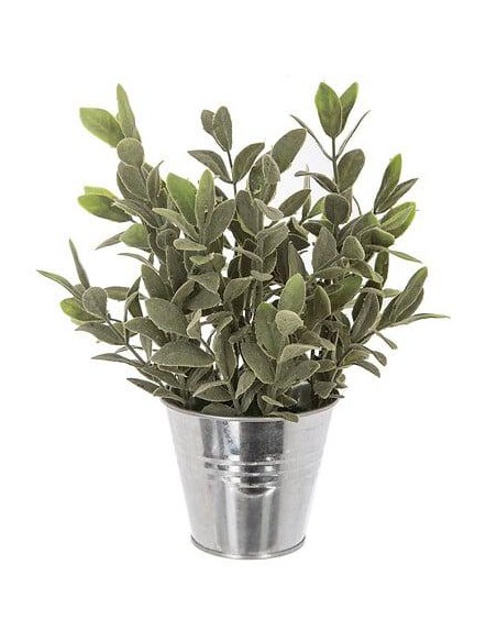 114755 - herbe pot zinc zumi ass h25