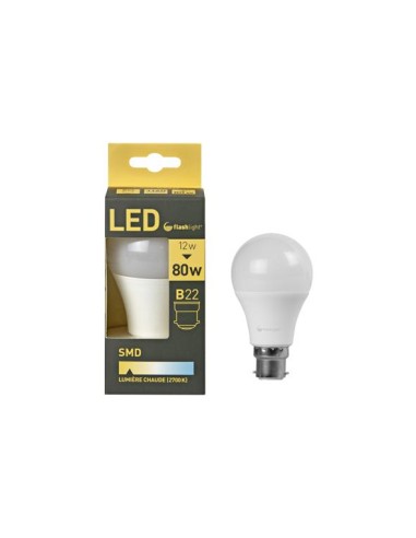 ampoule led a60/b22 12w