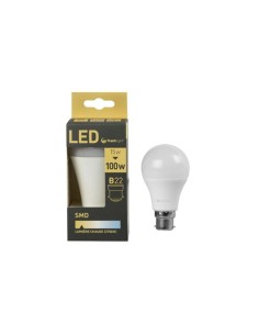 ampoule led a60/b22 15w
