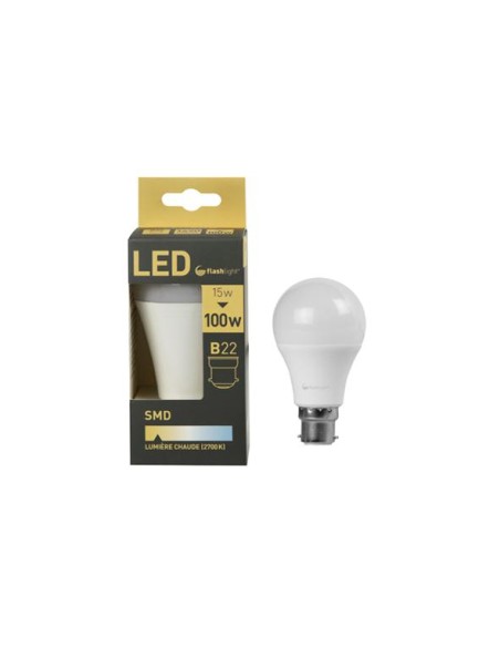 ampoule led a60/b22 15w