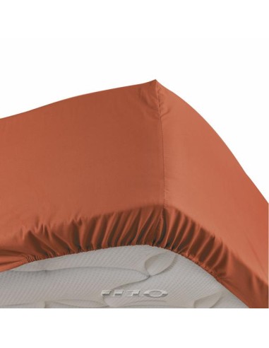 1643404 - drap housse 2 personnes 140 x 190 cm percale uni 78 fils percaline ter