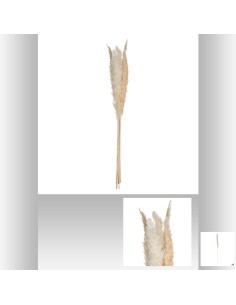 179281 - pampa nat x6 rika beige h60