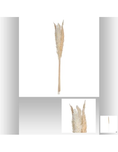 179281 - pampa nat x6 rika beige h60