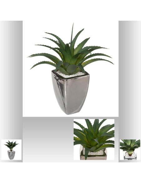 agave shine h42 D. 26 x H. 34,5 cm