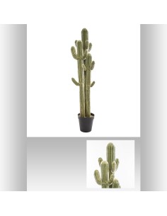 cactus 3 troncs h148 L. 52 x P. 52 x H. 148 cm