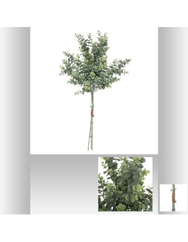 179274 - bouquet 3 eucalyptus ayma h64