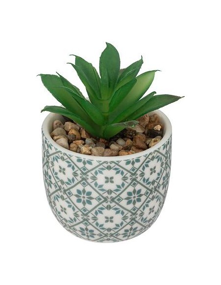 168596 - plante g ako h9