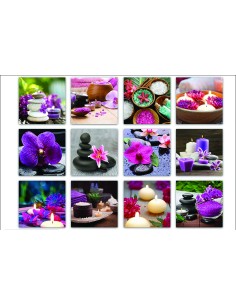 09/2170 - cadre toile 28x28cm "spa" 12asst