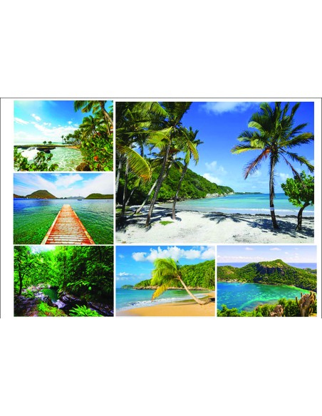 09/2956 - cadre toile 50x70cm "antilles1" 6as