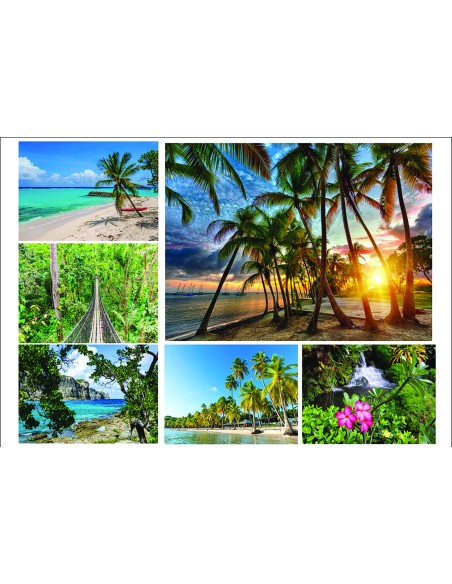 09/2957 - cadre toile 50x70cm "antilles2" 6as