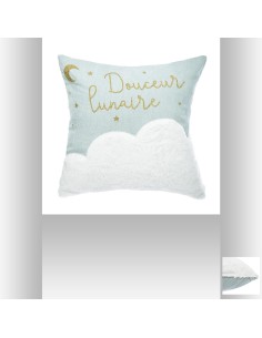 158790-coussin 40 x 40 velvet