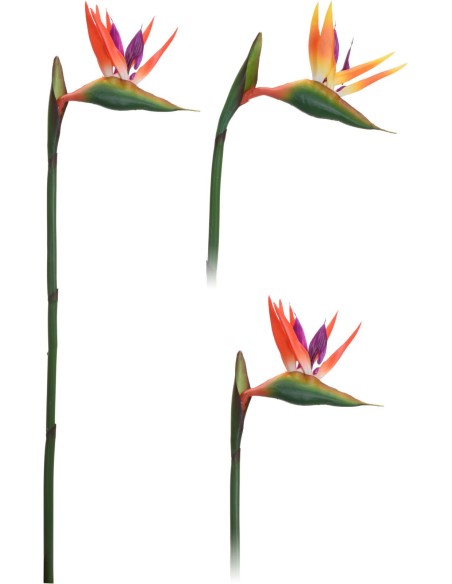 318800120-paradise flower 80cm 2ass
