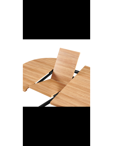 table extensible jabko 120