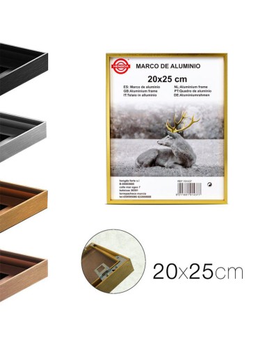 20693-cadre photo en aluminium 20 x 25 cm