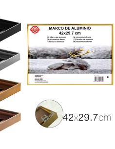 20696-cadre photo en aluminium 42 x 29.7 cm