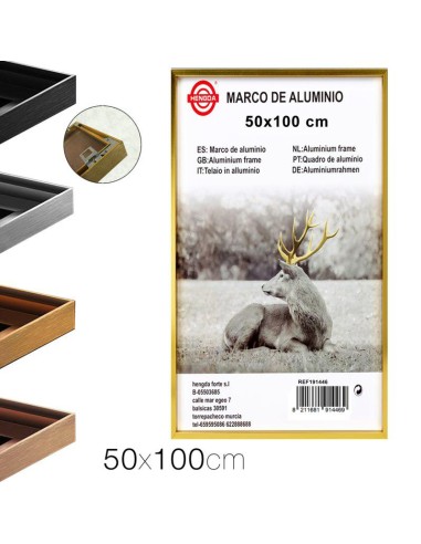 20703-cadre photo en aluminium 50 x 100 cm