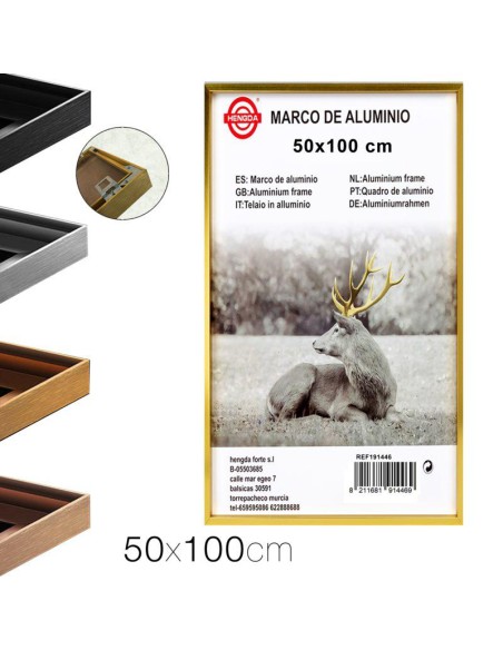 20703-cadre photo en aluminium 50 x 100 cm