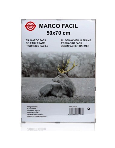 20717-cadre photo 50 x 70 cm