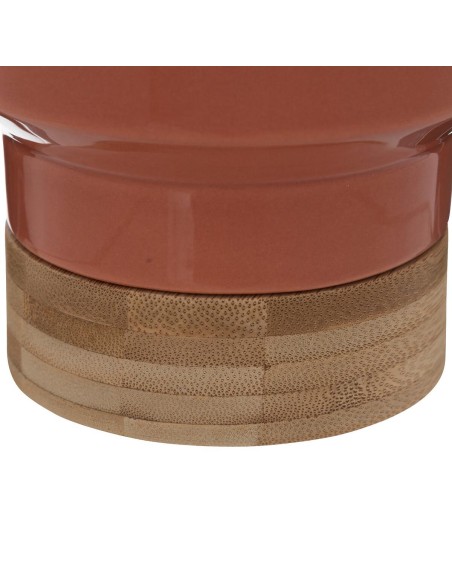 196733b - plante v pot crmq col pch h26