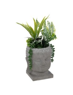 196737 - plante v pot bouddha cim h35