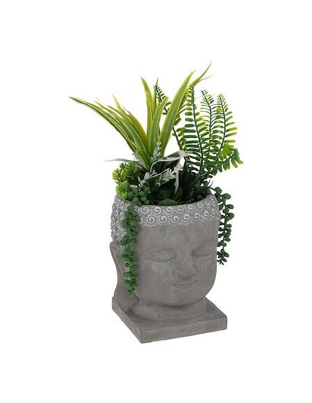 196737 - plante v pot bouddha cim h35