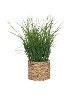 196736 - plante herbe pot nat moda h70