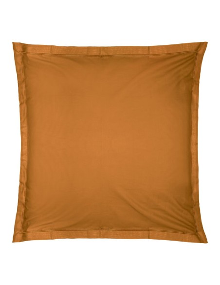 178570k - taie oreiller celadon 63x63