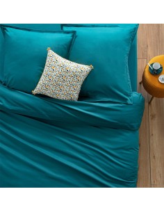 178574q - drap housse b30 2p can 160x200