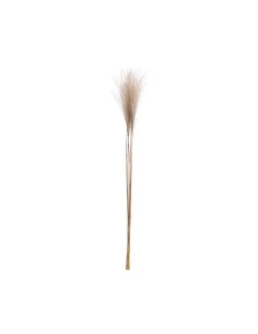 pampas 90cm decoration