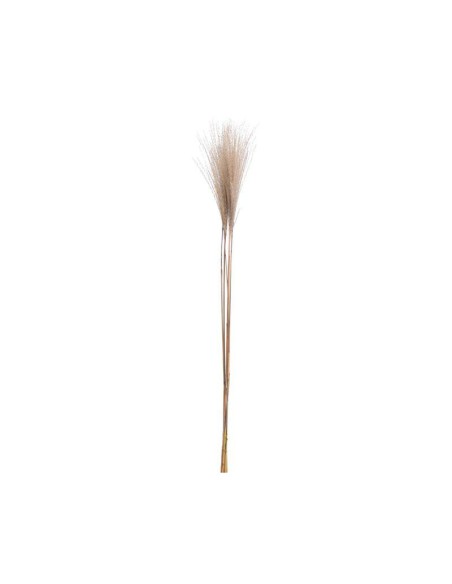 pampas 90cm decoration