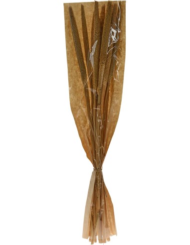 d22700740-branches natural dried materia